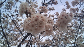 2011-04-10_17.02.04.jpg