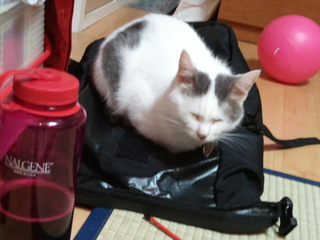 2011-09-09 15.34.13.jpg