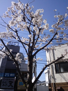 CA3G0345.jpg