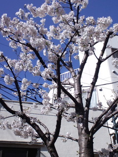 CA3G0346 (2).jpg