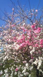 2011-04-13_16.02.46.jpg