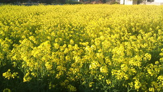 2011-04-25_16.49.44.jpg