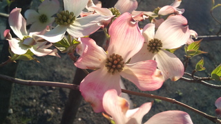 2011-04-25_16.58.02.jpg