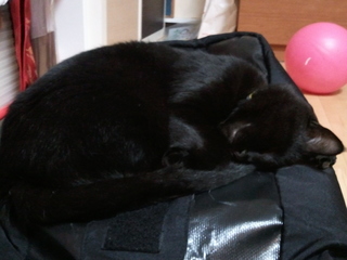 2011-09-09 16.12.58.jpg