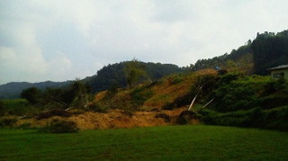 201108141356001.jpg